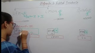 ANTICOAGULANT DRUGS  HEPARIN AND RELATED PRODUCTS  PART1 [upl. by Odilo214]