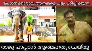 പാപ്പാൻ രാജുവേട്ടൻ ജീവിതം അവസാനിപ്പിച്ചു  kottayi raju death news  Bullet mozha  sree 4 elephant [upl. by Yenetruoc352]