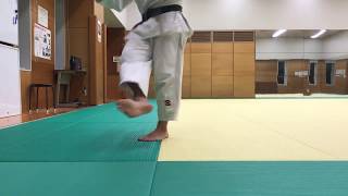 How to practice JUDO step [upl. by Denny]