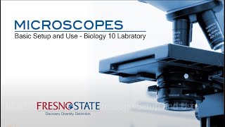 GRADE 7  HOW TO USE MICROSCOPE [upl. by Shandra287]