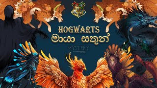 හොග්වඩ් වල මායා සතුන් වාර් ගි කරණය Magical Creatures of Hogwartsclassification [upl. by Castara6]