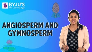 Difference Between Angiosperms And Gymnosperms [upl. by Airamesor681]