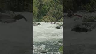 TUOLUMNE RIVER  Summer Rafting [upl. by Enylrac]