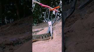 Saamp kya chij se cut Gaya snake pestcontrol wildlife pesttrap pest culex pestex kilpest [upl. by Norine]