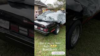 😂wifey Gets happy When I pull out my oldSchool 🏎️ tiktok car cartok funny viralvideo malibu [upl. by Sherurd]