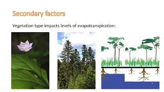 Evapotranspiration [upl. by Eelydnarb]