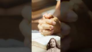 Devotion Paramhansa Yogananda [upl. by Abert]