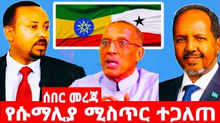 የሶማሊያ ሚስጥር ተጋለጠ ሩሲያ እስራኤል ላይ ዛተች [upl. by Medovich]