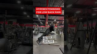 Hyperextension for Low Back Pain and Rehab [upl. by Annoet]