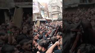 Nawabi Falak Badshah Lahore 10muharram2024 zuljanahimamhussainas falak shorts [upl. by Rudman910]