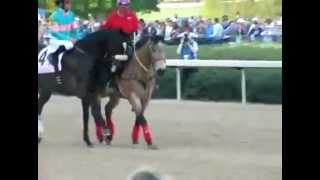 Zenyatta Gets Down Dancing before Race [upl. by Maite]