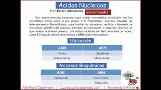 Ácidos Nucleicos generalidades  Ácidos nucleicos parte I [upl. by Adolphe596]