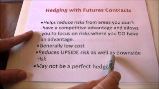 Futures Hedging vs Speculating [upl. by Peednama]