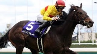 2014 Takamatsunomiya Kinen G1  Copano Richard 李察先生  MDemuro [upl. by Asert]