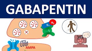 Gabapentin  Mechanism precautions amp side effects [upl. by Yobybab928]