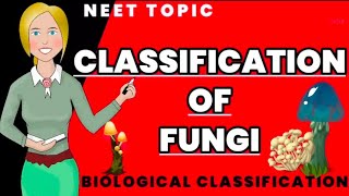 classification of fungi  Class 11 biology ncert NEET [upl. by Isaacson]