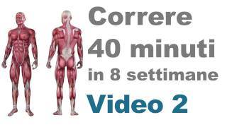 Allenamento Corsa Esercizi per le Gambe e i Muscoli Principali Video 2 [upl. by Olegnaed]