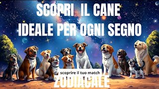 Scopri il Cane🐕‍🦺 ideale per ogni Segno Zodiacale🌠 [upl. by Norrad]