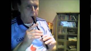 Joe Hill Tin Whistle [upl. by Hescock]