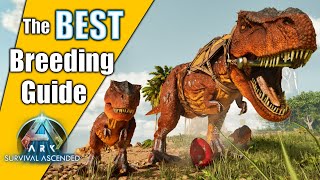 The BEST Breeding Guide on Mutations  Ark Survival Ascended [upl. by Ahsital535]