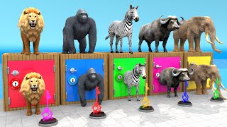 Mammoth Elephant Lion Gorilla Buffalo Guess The Right Key ESCAPE ROOM CHALLENGE Animals Cage Game [upl. by Aretina]