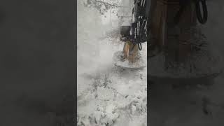 Cutting Lodgepole in the winter time with the Tigercat LX830D [upl. by Guinna]