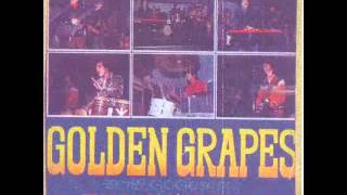 Shin Joong Hyun amp Golden Grapes  quotJquot Blues 72 [upl. by Maisel]