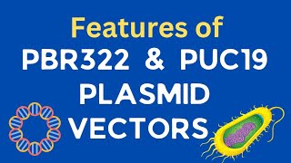 Features of pBR322 amp pUC 19 plasmid vectors  Cloning vectors  Biotechnology [upl. by Abisia]