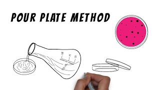 Isolation techniques  Pour plate method [upl. by Noled]