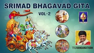 Chapter 11  Vishwaroopa Darsana Yogam  Srimad Bhagavad Gita  By T S Ranganathan [upl. by Anselmi]