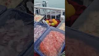 svalbard BBQ party every cruise [upl. by Goerke397]