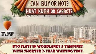 June BTO Flats in Tampines amp Woodlands with Just 3Year Wait Should you buy [upl. by Domenech]