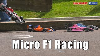 TOO COOL  FORMULA 1 F1 GRAND PRIX MICRO RC RACING CARS [upl. by Lateh]