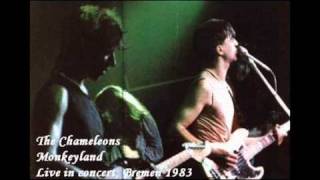 The CHAMELEONS  Monkeyland Live in Bremen  1983 [upl. by Hoeg201]