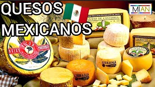 Tipos De QUESOS En MÉXICO 🧀 Top 10 🇲🇽🧀 MIAN Channel [upl. by Acacia]