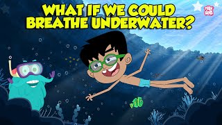 What If We Could Breathe Underwater  Humans with Superpowers  Super Freedivers  Dr Binocs Show [upl. by Athiste]