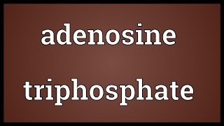 Adenosine triphosphate Meaning [upl. by Hailey]