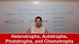 Heterotrophs Autotrophs Phototrophs and Chemotrophs [upl. by Aniroc]