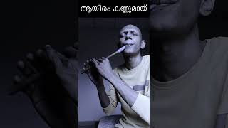 ആയിരം കണ്ണുമായ്  Aayiram Kannumai flutecover shorts [upl. by Dora]