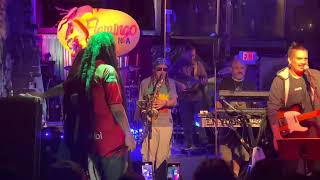 Gondwana  Felicidad Live Austin 2022 [upl. by Onurb]