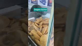 Shegaon Kachori shegaonmandir kachori food [upl. by Moshe]