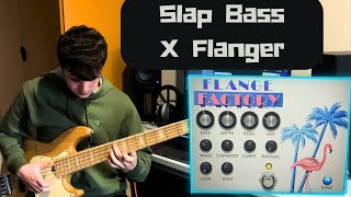 Flanger on Bass Sounds Incredible [upl. by Denie]