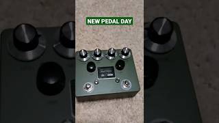 Protein Pedal  Browne Amplification guitar effectspedals guitarpedals guitarist amplifier [upl. by Elsy]