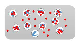 Phagocytic index and phagocytic number calculation [upl. by Anihsak]