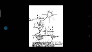 Process of Salinization [upl. by Yv]