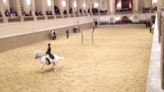 Spanische Reitschule Wien Video 4 [upl. by Encratis897]