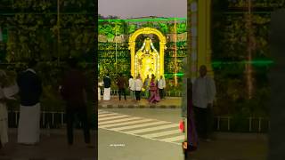 Tirupati Tirumala Venkateswara 🙏 youtubeshorts shorts tirupati tirumala venkateswara tranding [upl. by Kilian]