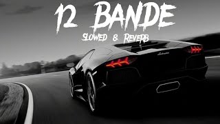 12 Bande Slowed amp Reverb  Varinder Brar [upl. by Kcirderfla]