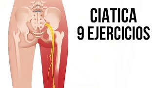 9 EJERCICIOS para aliviar la CIATICA sin importar su origen fisioterapiatualcance [upl. by Tsan15]