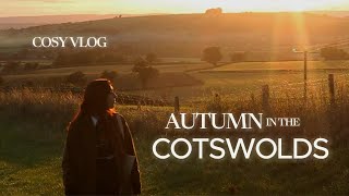 COTSWOLDS in Autumn  Cosy Vlog  Countryside Sunsets Blackberry Picking Farming [upl. by Elyn20]